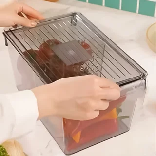 نظم‌دهنده مواد غذایی لیمون مدل 2150 103116404